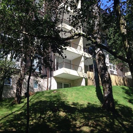 פוקון Apartamento Camino Al Volcan מראה חיצוני תמונה